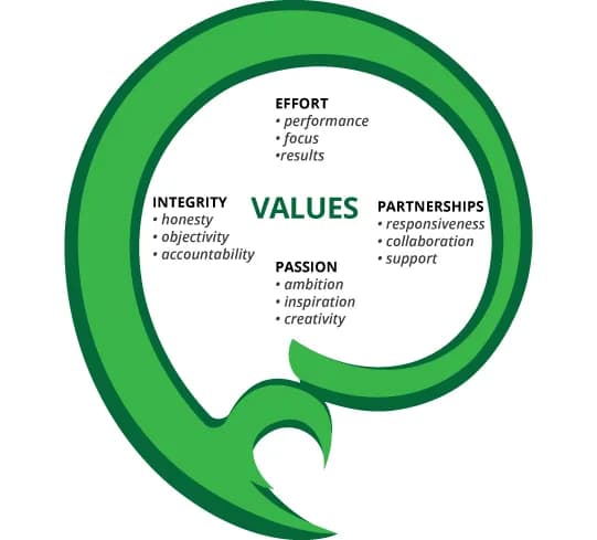Crescita values